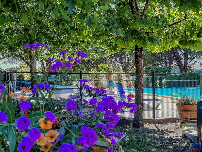 Fleurs piscine Camping du Braou