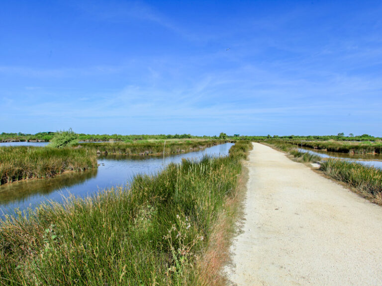 réserve ornithologique gironde