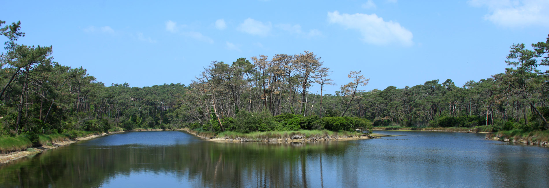 services camping braou audenge