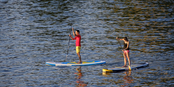 Lac de biscarrosse